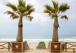 Bluebird Puzzle Plage de Lacanau, France* Mers Et Océans|Plages Et Îles De Rêve