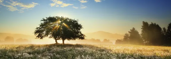 Heye Play of Light*Femme Panoramique|Zen Et Bien Être