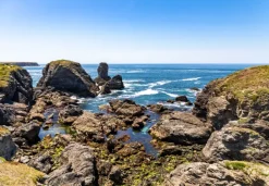 Bluebird Puzzle Pointe des Poulains, Bretagne, France* Monuments|De 1 000 Pièces