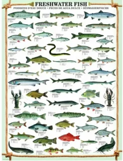 Eurographics Poissons d'eau douce*Enfant Puzzles Pour Enfants|Animaux Marins