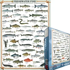 Eurographics Poissons d'eau douce*Enfant Puzzles Pour Enfants|Animaux Marins