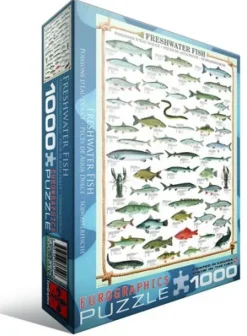 Eurographics Poissons d'eau douce*Enfant Puzzles Pour Enfants|Animaux Marins