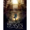 Wrebbit 3D Poster Puzzle - Fantastic Beasts - Macusa*Femme Puzzles Pour Enfants|Personnages Célèbres