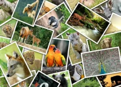 Grafika Promenade au Zoo* Animaux Sauvages|Collages