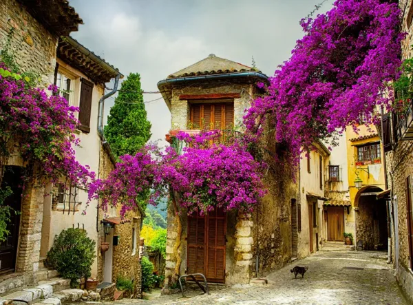 Grafika Provence, France* De 2 000 Pièces|De 2 000 Pièces