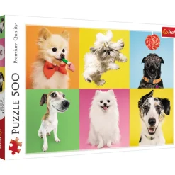 Trefl Psy*Femme Chiens|Humour, Satire Et Wasgij