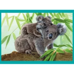 Clementoni Puzzle 4 En 1 - Maman Bébé Animaux*Enfant Animaux Sauvages|Dès 3 Ans : 11 À 20 Pièces