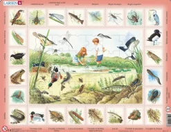 Larsen Puzzle Cadre - Animaux du Lac (en Italien)*Enfant Cadre|Puzzles Pour Enfants