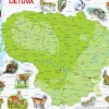 Larsen Puzzle Cadre - Carte de la Lituanie (en Lituanien)*Enfant Cadre|Puzzles Pour Enfants