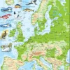 Larsen Puzzle Cadre - Carte Topographique de l'Europe (Italien)*Enfant Cadre|Puzzles Pour Enfants