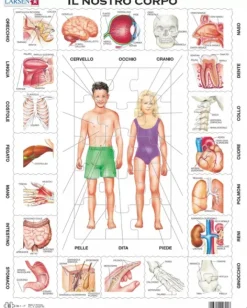 Larsen Puzzle Cadre - Il Nostro Corpo (en italien)*Enfant Cadre|Puzzles Pour Enfants