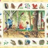 Larsen Puzzle Cadre - La Forêt (en Hollandais)*Enfant Cadre|Animaux De La Forêt