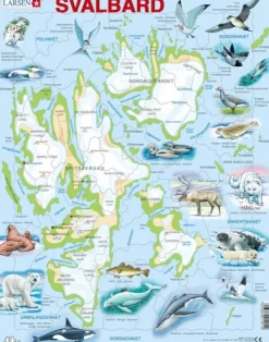 Larsen Puzzle Cadre - Norvège : Le Svalbard et ses Animaux (Noms des animaux en Norvégien)*Enfant Cadre|Puzzles Pour Enfants