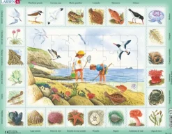 Larsen Puzzle Cadre - Puzzle Nature - Bord de Mer (Espagnol)*Enfant Cadre|Puzzles Pour Enfants