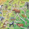 Larsen Puzzle Cadre - The Road From Ape to Human (en Anglais)*Enfant Cadre|Puzzles Pour Enfants
