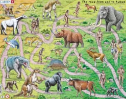 Larsen Puzzle Cadre - The Road From Ape to Human (en Anglais)*Enfant Cadre|Puzzles Pour Enfants