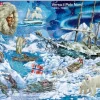 Larsen Puzzle Cadre - Verso il Polo Nord (en italien)*Enfant Cadre|Puzzles Pour Enfants