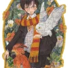 Ravensburger Puzzle En Bois - Harry Potter*Enfant À Partir De 9 Ans|Affiches De Cinéma, Publicité