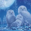 Ravensburger Puzzle Glow in the Dark - Chouettes au Clair de Lune* Oiseaux|Neige