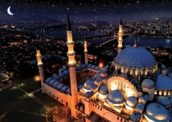 Art Puzzle Puzzle Neon - Mosquée Bleue*Femme Pièces Phosphorescentes|Religions Et Mysticisme