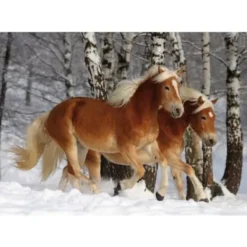 DToys Puzzle Spécial / Difficile : Cheval Haflinger n°3* Pièces Difficiles|Chevaux