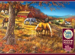 Cobble Hill Rassemblement à Hillside* De 2 000 Pièces|De 2 000 Pièces