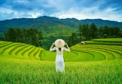 Castorland Rizières au Vietnam*Femme Déco Culinaire|Hommes Et Femmes