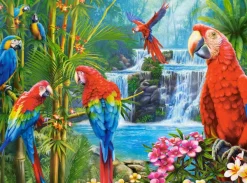 Castorland Réunion de Perroquets* De 2 000 Pièces|De 2 000 Pièces