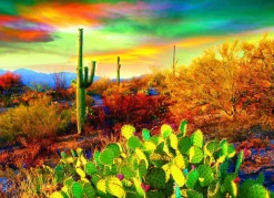 Eurographics Rêve de Désert* Parcs Naturels Et Nationaux|États-Unis Et Canada