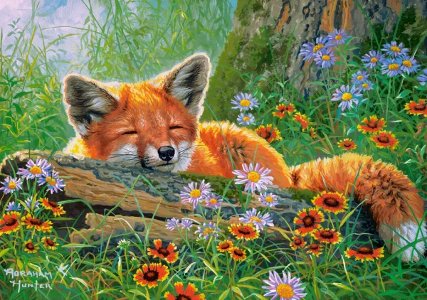 Castorland Rêves de Renard* Animaux Sauvages|Animaux De La Forêt