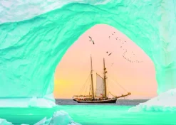 Roovi Sailing* Bateaux|Neige