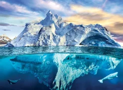 Eurographics Save our Panet Collection - Arctique*Femme Zen Et Bien Être|Mers Et Océans