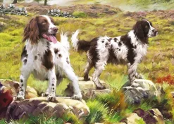 Otter House Puzzle Spaniel on Moor* Chiens|De 1 000 Pièces