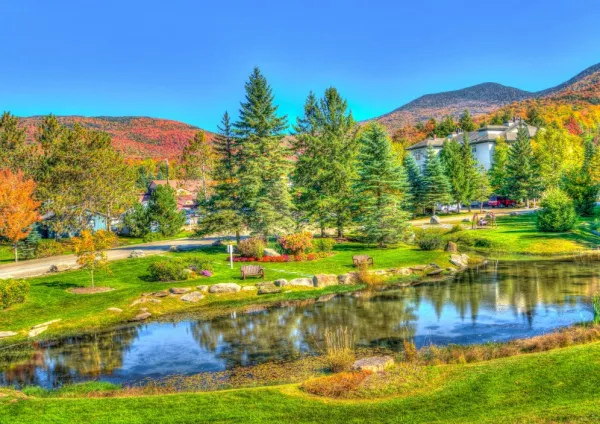 Bluebird Puzzle Stowe, Vermont, USA* États-Unis Et Canada|Forêts, Fleurs Et Jardins