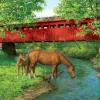 Eurographics Sweet Water Bridge* Chevaux|Ponts