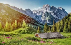 Castorland Été dans les Alpes* Montagnes|De 500 À 999 Pièces