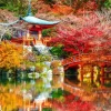 Bluebird Puzzle Temple Daigo-ji en Automne, Kyoto*Femme Pays D'Asie|Religions Et Mysticisme