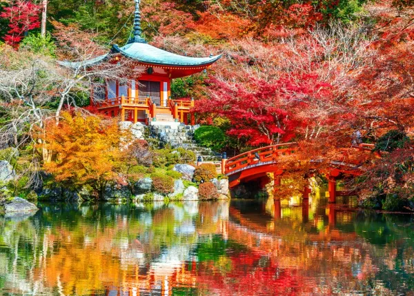 Bluebird Puzzle Temple Daigo-ji en Automne, Kyoto*Femme Pays D'Asie|Religions Et Mysticisme
