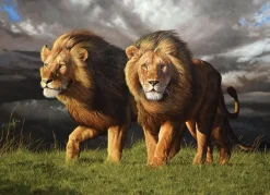 Cobble Hill Tempête Imminente* Animaux Sauvages|De 1 000 Pièces