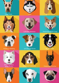 Yazz The Dogs*Enfant Chiens|Dès 6 Ans : 50 À 100 Pièces