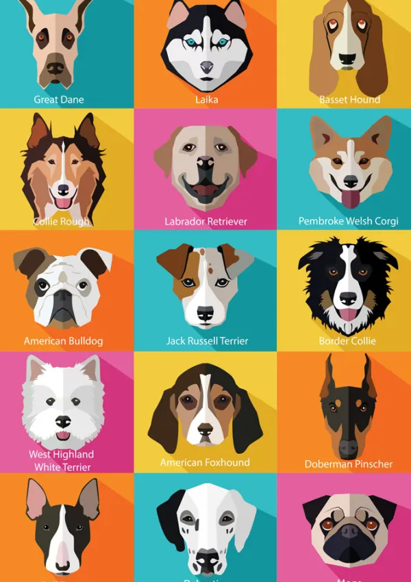 Yazz The Dogs*Enfant Chiens|Dès 6 Ans : 50 À 100 Pièces