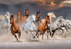 Bluebird Puzzle The Horse Race* Chevaux|De 1 000 Pièces