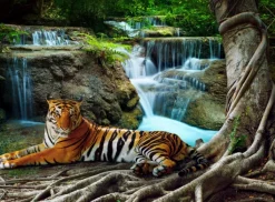 Grafika Tigre et Cascade* De 2 000 Pièces|De 2 000 Pièces