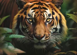 Trefl Tigre Sauvage* Tigres|De 1 000 Pièces