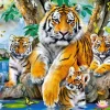 Castorland Tigres au Fil de l'Eau* Tigres|Animaux Sauvages