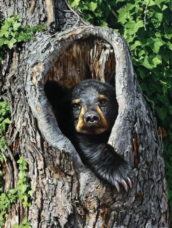 SunsOut Trou De Casier* Animaux De La Forêt|De 500 À 999 Pièces