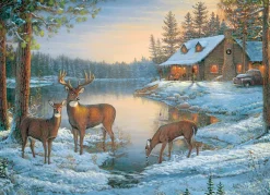 Cobble Hill Un Endroit Calme* Animaux De La Forêt|Neige