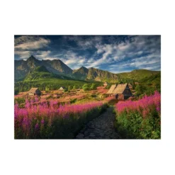 Dino Vallée de la Gasienica* Montagnes|Forêts, Fleurs Et Jardins