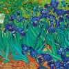 Bluebird Puzzle Van Gogh Vincent - Vincent Van Gogh - Irises, 1889* Art|De 1 000 Pièces