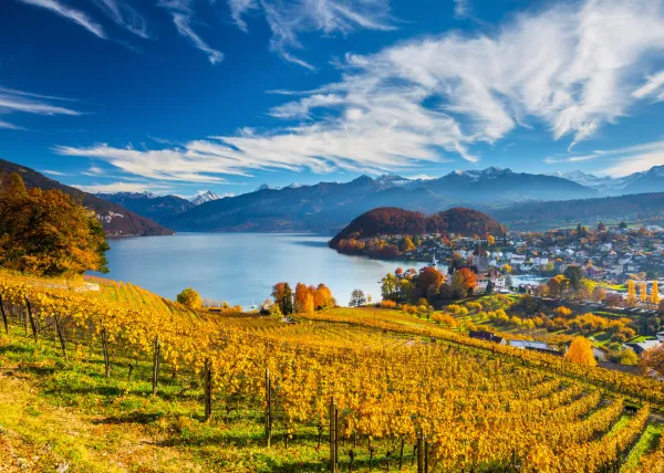 Schmidt Spiele Vineyards* De 2 000 Pièces|De 2 000 Pièces